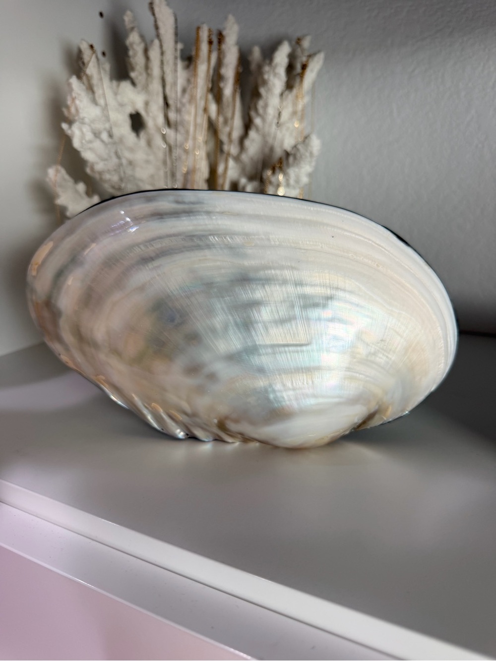 Iridescent Mother-of-Pearl Shell Clutch
